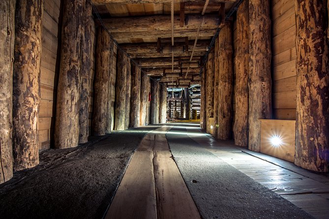 Auschwitz & Wieliczka ONE DAY Guided Tour +Private Transportation - Price and logistics: what $311.16 really buys you