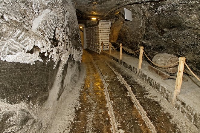 Auschwitz & Wieliczka ONE DAY Guided Tour +Private Transportation - Who should book this tour, and who should consider other options