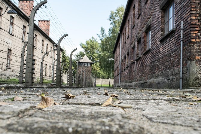 Combined: Auschwitz Birkenau and Salt Mine private chauffeur from Krakow - The schedule you’ll feel: pickup timing and a 9:00 am start