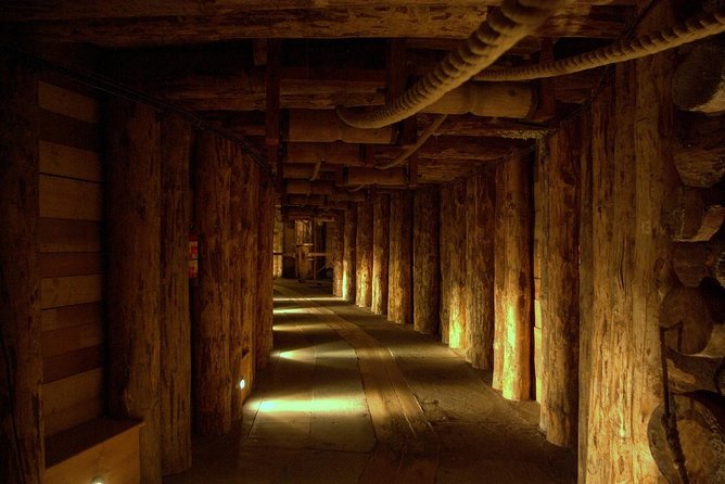 Combined tour Auschwitz Birkenau guided & Salt Mine guided from Krakow - A full-day plan that saves you hours in Krakow