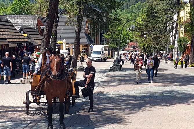 Day Tour to Zakopane and Tatra Mountains from Krakow - Wielka Krokiew ski jumping hill, a quick stop with big stakes