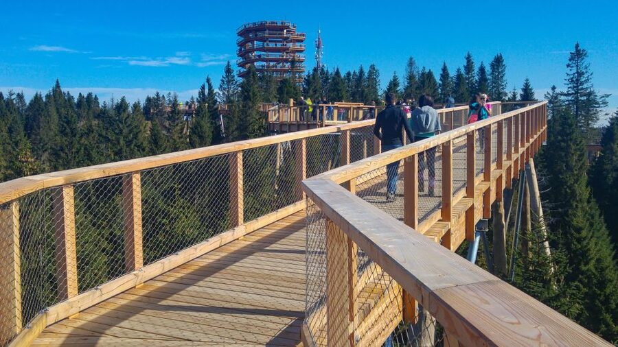 Dunajec River Gorge Rafting and Tree Top Walk from Krakow - The lunch stop: a real break after rafting, but budget for food