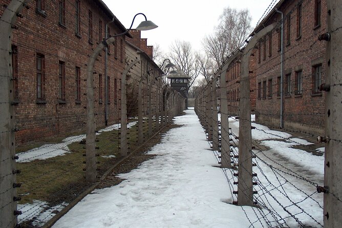 Exclusive Small Group Auschwitz-Birkenau Guided Tour from Krakow - Lunch, breaks, and the small timing rules that matter
