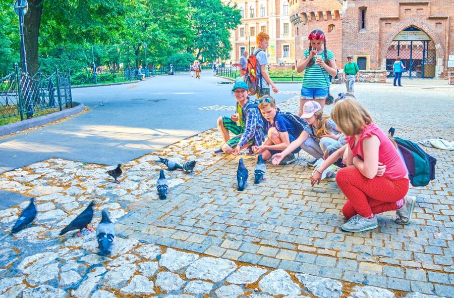 Family Tour of Krakow Old Town with Sweets Factory & Cruise - Starting At The Barbakan, Then Walking The Royal Route With Kid Rules