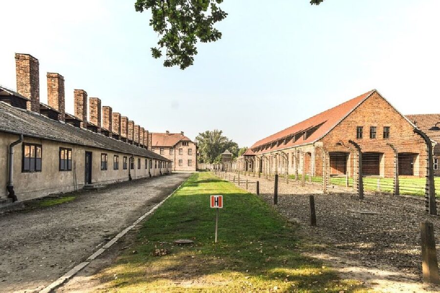 From Krakow: Auschwitz Birkenau and Salt Mine Guided Tour - Two Stops, One Long Day: Auschwitz and Wieliczka Together
