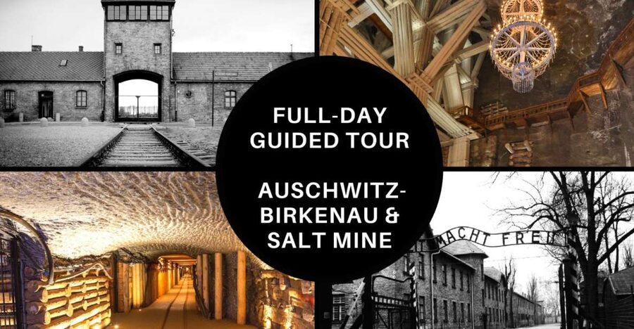 From Krakow: Auschwitz Birkenau and Salt Mine Guided Tour - The Auschwitz-Birkenau Memorial: What You’ll Actually See