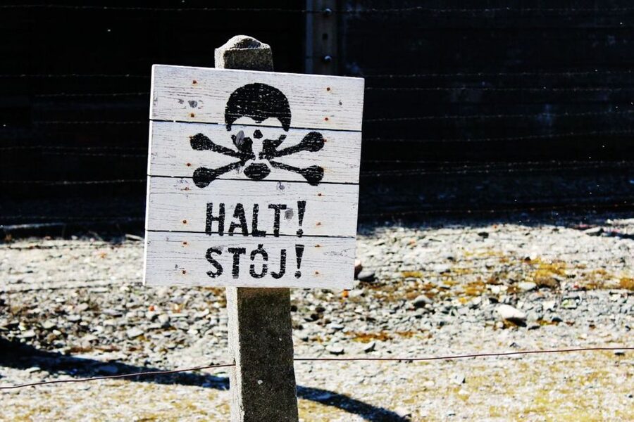 From Krakow: Auschwitz Birkenau and Salt Mine Guided Tour - Auschwitz II-Birkenau Walk: More Space, More Impact