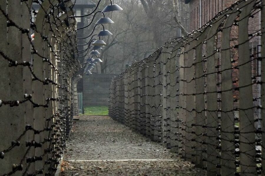 From Krakow: Auschwitz Birkenau and Salt Mine Guided Tour - What to Pack and Wear, Including Mine Cold and Site Rules