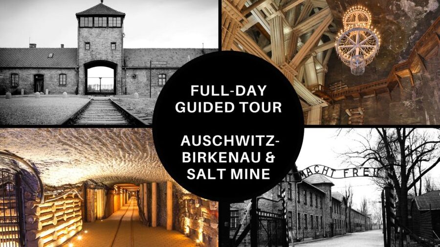 From Krakow: Auschwitz Birkenau and Salt Mine Guided Tour - Pickup in Krakow and Skip-the-Line Entry