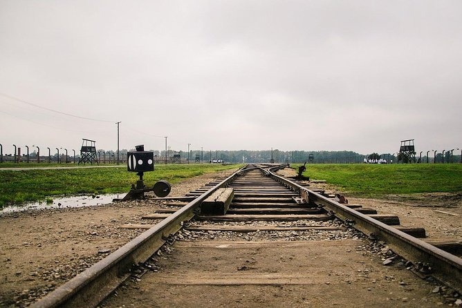 From Krakow: Auschwitz-Birkenau and Salt Mine with Private Transfer - Who should book this Auschwitz and Wieliczka private transfer day?