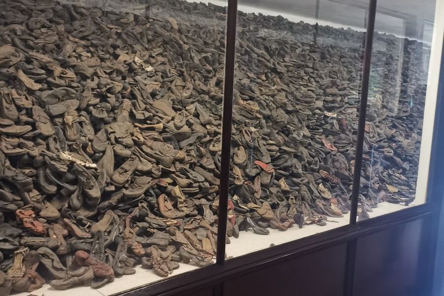 From Krakow: Auschwitz-Birkenau Camp Complex Guided Day Trip - Key highlights you should not miss