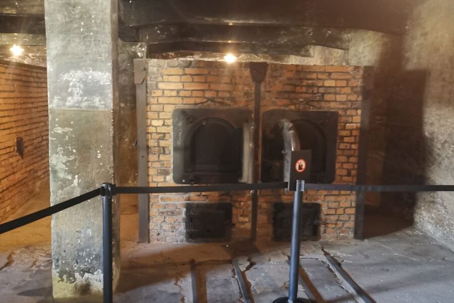 From Krakow: Auschwitz-Birkenau Camp Complex Guided Day Trip - Who this Auschwitz-Birkenau day trip suits best