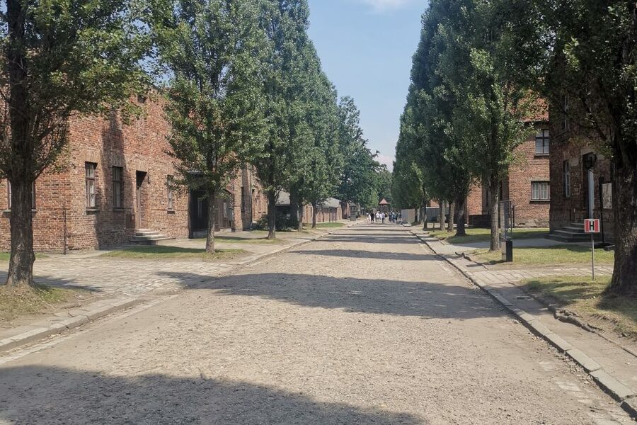 From Krakow: Auschwitz-Birkenau Camp Complex Guided Day Trip - Birkenau: gas chambers, crematoria, and how the memorials change your pace