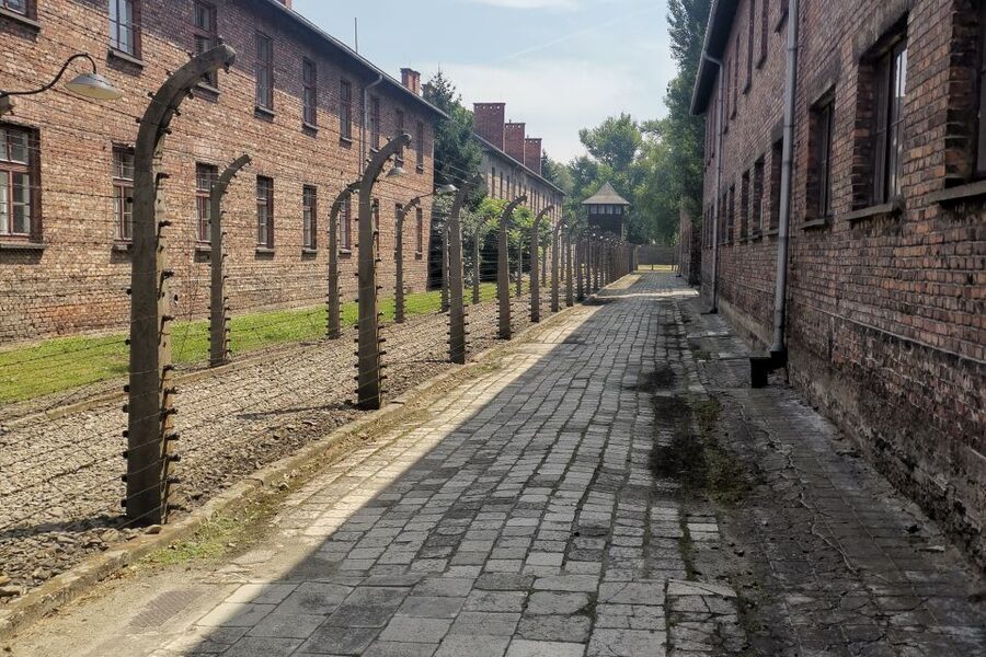 From Krakow: Auschwitz-Birkenau Camp Complex Guided Day Trip - Monowitz and the camp network: survival in day-to-day terms