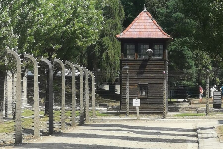 From Krakow: Auschwitz-Birkenau Camp Complex Guided Day Trip - What the guide (Italian) and audio option add to your understanding