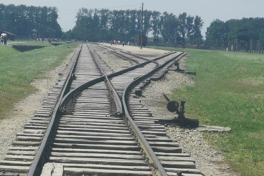 From Krakow: Auschwitz-Birkenau Camp Complex Guided Day Trip - Price and value: $83 for entry, transport, and guided interpretation
