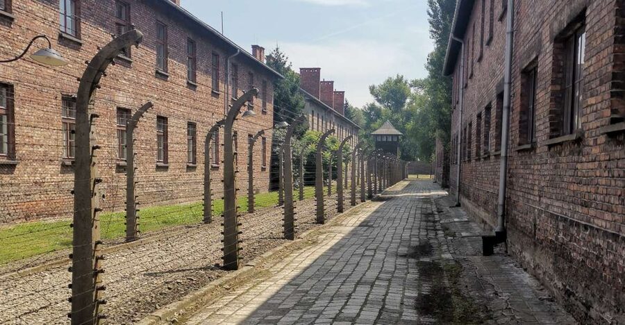From Krakow: Auschwitz-Birkenau Camp Complex Guided Day Trip - Pickup from Krakow: comfort, timing, and WhatsApp updates
