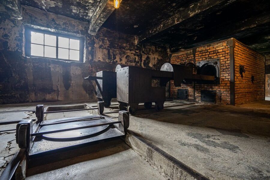 From Krakow: Auschwitz-Birkenau Full-Day Guided Tour - What You Need to Bring (And What Will Get You Stopped)