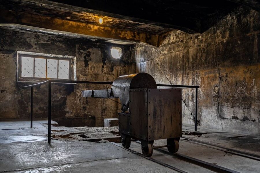 From Krakow: Auschwitz-Birkenau Full-Day Tour - Krakow to Auschwitz in one long day that stays organized