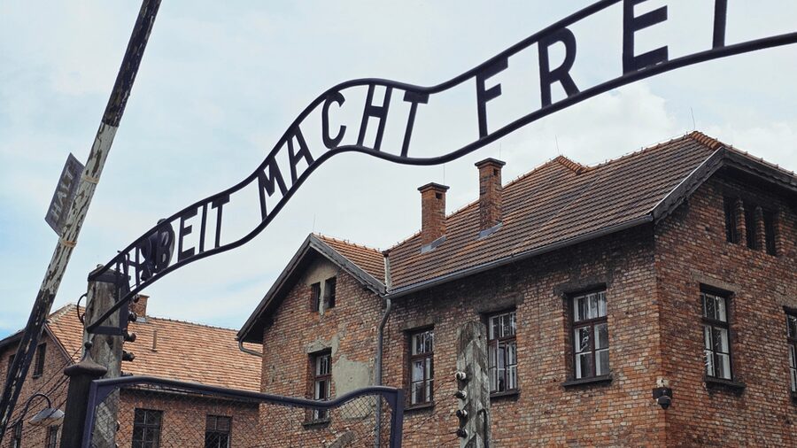 From Krakow: Auschwitz-Birkenau Guided Tour Guaranteed Time - Why this Auschwitz-Birkenau trip from Krakow feels “managed” instead of rushed