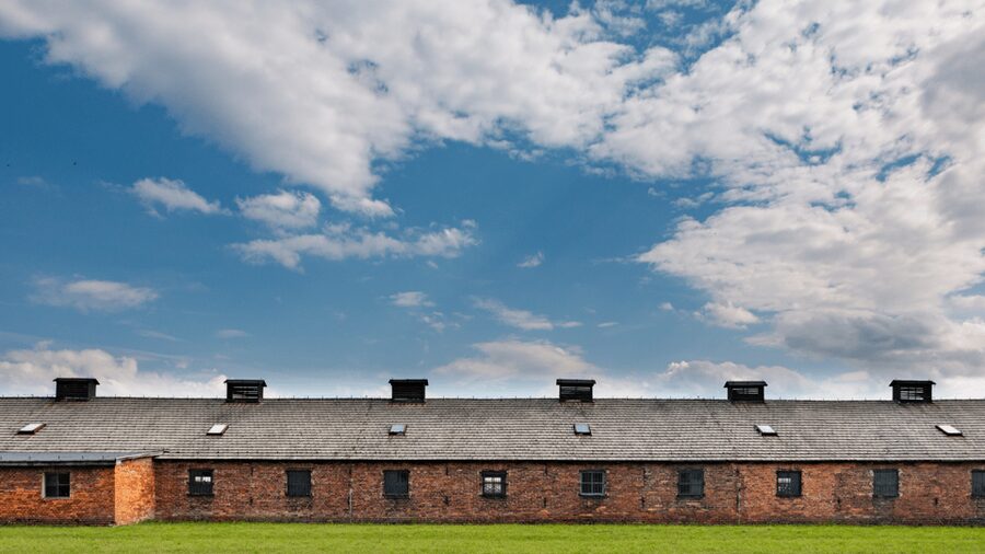 From Krakow: Auschwitz-Birkenau Guided Tour Guaranteed Time - Who should book this tour, and who should consider another format