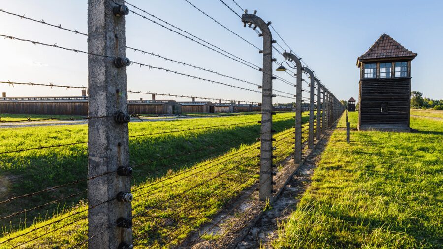 From Krakow: Auschwitz-Birkenau Guided Tour Guaranteed Time - The short break, then the quick transfer to Birkenau II