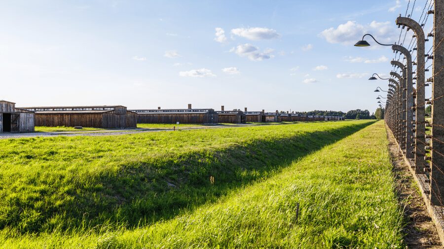 From Krakow: Auschwitz-Birkenau Guided Tour Guaranteed Time - Timing reality: your visit is shaped by visitor flow, not by your schedule