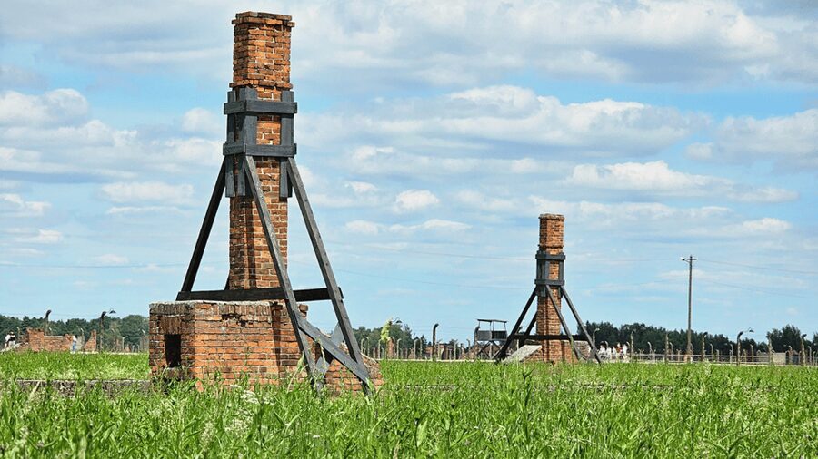 From Krakow: Auschwitz-Birkenau Guided Tour Guaranteed Time - Price and value: what your $53 really covers