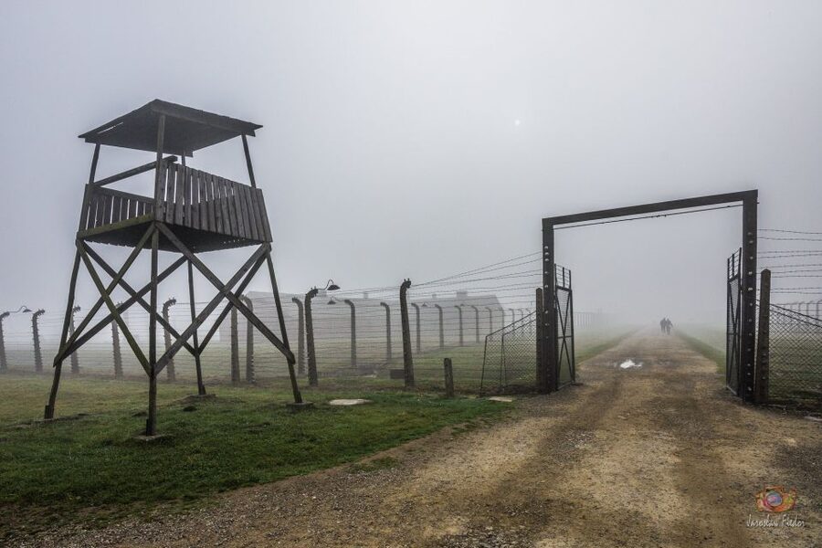 From Krakow: Auschwitz-Birkenau Guided Tour & Pickup - The Quick Transfer to Birkenau