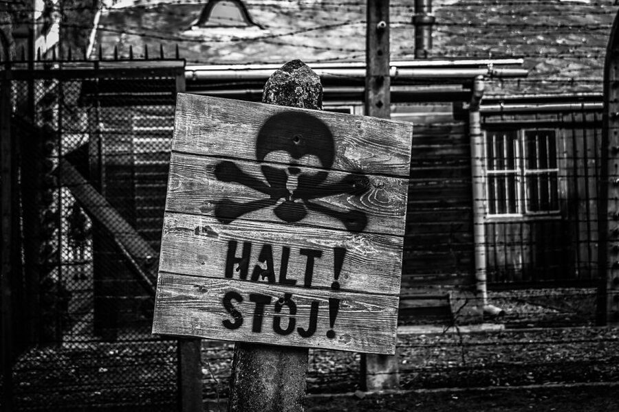 From Krakow: Auschwitz-Birkenau Guided Tour & Transport - How long it really takes: pacing, walking, and timing changes