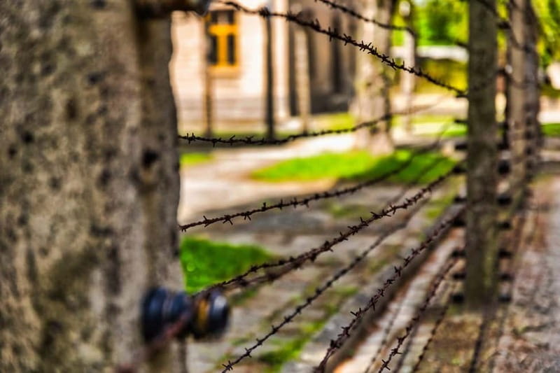 From Krakow: Auschwitz-Birkenau Guided Tour & Transport - What you get for $93: value beyond the price tag