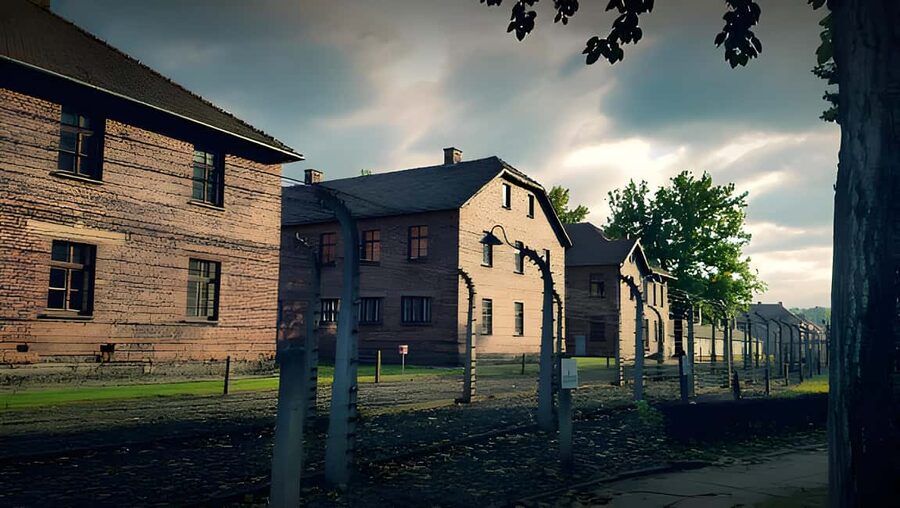 From Krakow: Auschwitz & Birkenau Guided Tour with Pick up - Who This Tour Suits Best (and Who It Might Not)