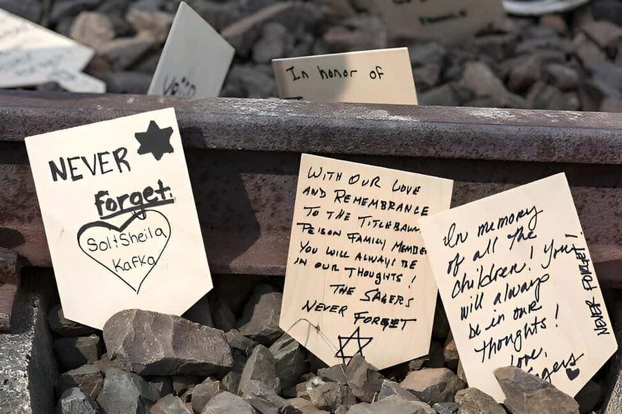 From Krakow: Auschwitz & Birkenau Guided Tour with Pick up - The Pickup, Coach Ride, and the Comfort Reality Check