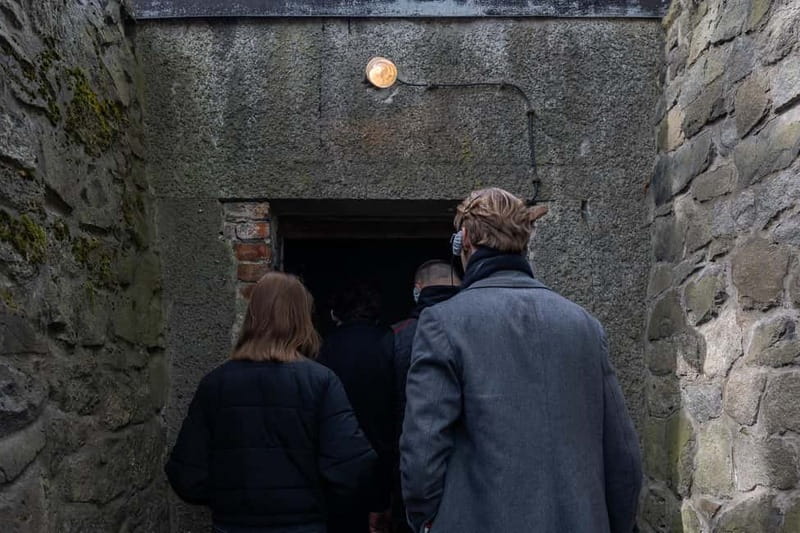 From Krakow: Auschwitz-Birkenau Guided Tour with Transport - Who this tour is best for (and who might want a different option)