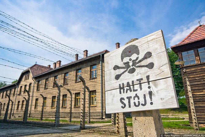 From Krakow: Auschwitz-Birkenau: Guided Tours & Private Transport - Joining the Official Museum Tour: Small Group, Clear Audio