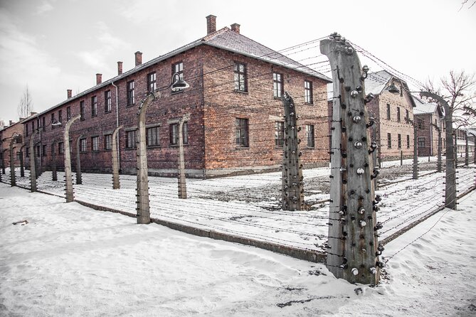 From Krakow: Auschwitz-Birkenau Memorial and Museum Guided Tour - What’s included, and what you’ll still need to plan for