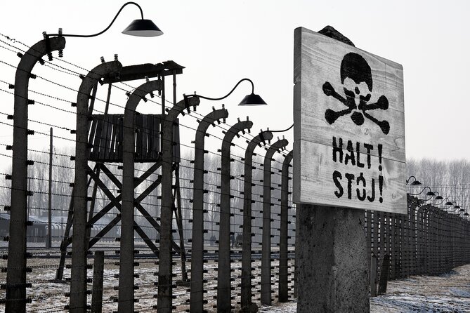From Krakow: Auschwitz-Birkenau Memorial and Museum Guided Tour - Small group size and onboard comfort: a real advantage for a long day