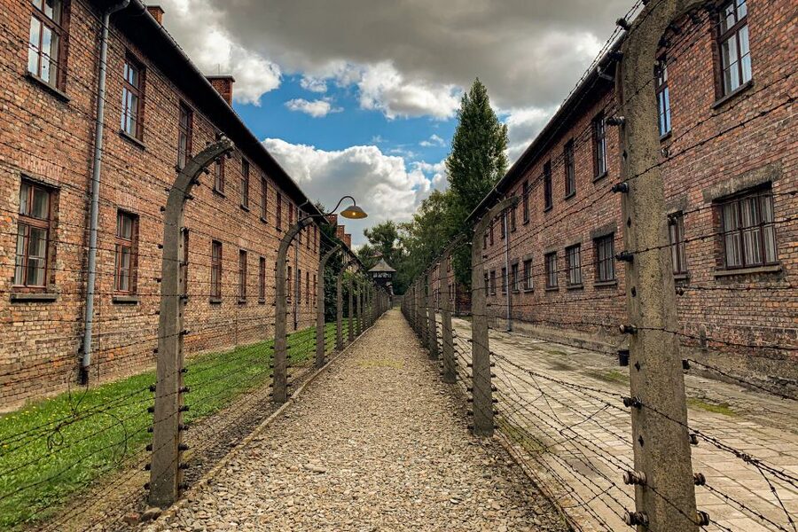 From Krakow: Auschwitz-Birkenau Memorial and Museum Tour - Key things that make this tour worth your time