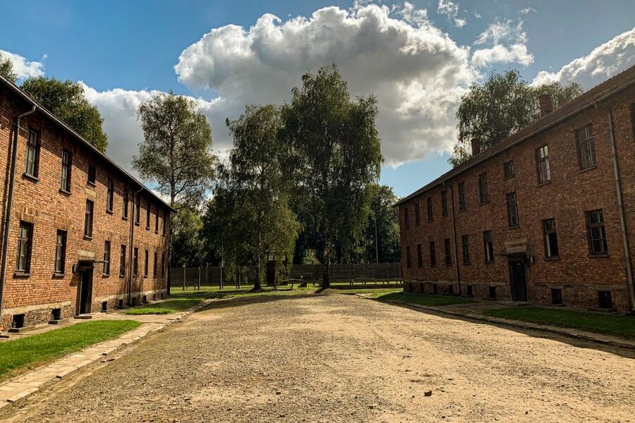 From Krakow: Auschwitz-Birkenau Memorial and Museum Tour - Auschwitz II-Birkenau: watchtowers, fences, barracks, and gas chambers