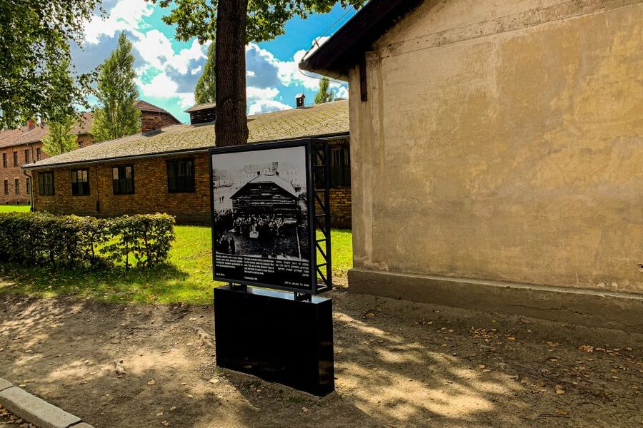 From Krakow: Auschwitz-Birkenau Memorial and Museum Tour - The guide on the ground: how names, tone, and structure matter
