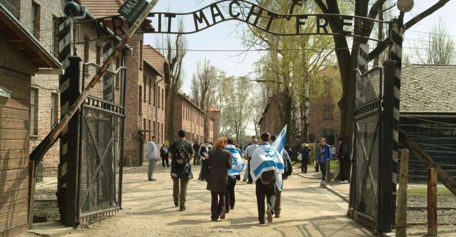 From Krakow: Auschwitz-Birkenau Memorial and Museum Tour - Skip-the-line entry and the rules you must follow (seriously)