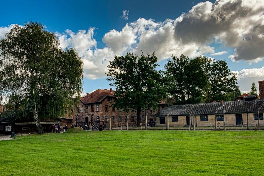 From Krakow: Auschwitz-Birkenau Memorial and Museum Tour - Price and value: is $81 a smart deal?