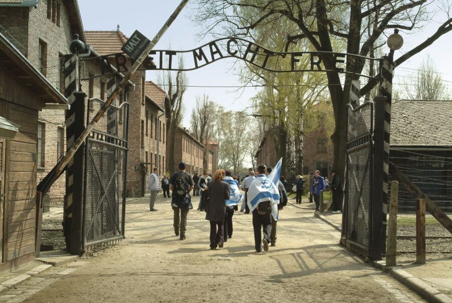 From Krakow: Auschwitz-Birkenau Memorial and Museum Tour - Auschwitz I: prison dormitories, gas chambers, and museum exhibitions