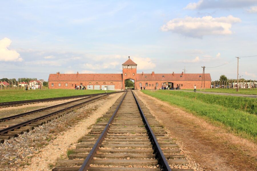 From Kraków: Auschwitz-Birkenau Memorial Guided Tour - The biggest visuals you will face, and what to do with them