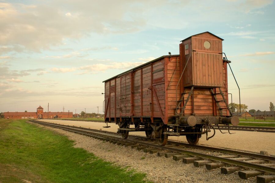 From Kraków: Auschwitz-Birkenau Memorial Guided Tour - Walking distance: plan your body like it’s part of the tour