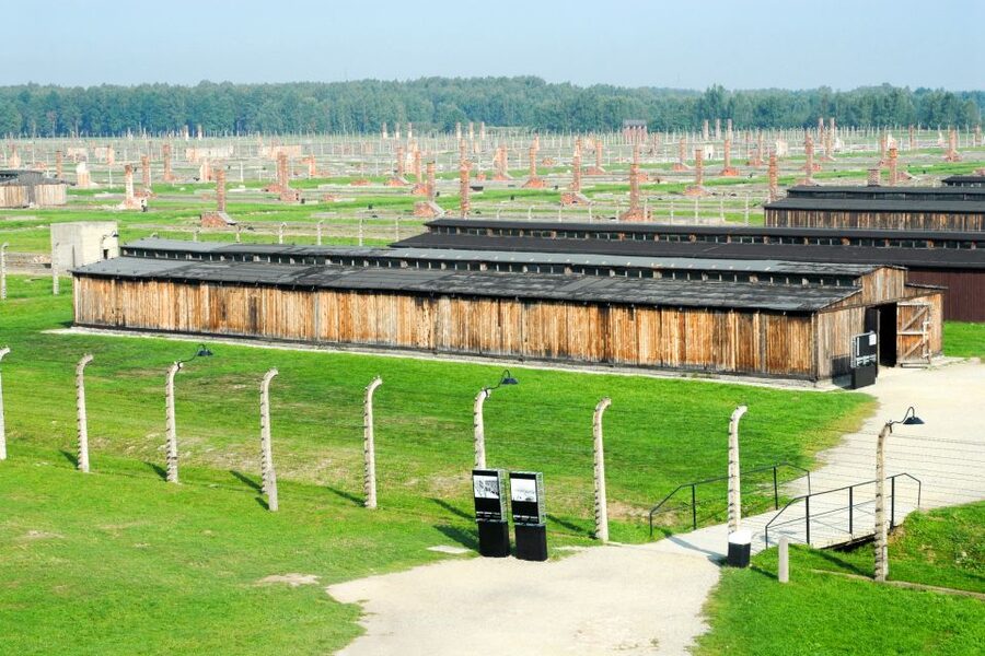 From Kraków: Auschwitz-Birkenau Memorial Guided Tour - Dress code, ID matching, and the rules that can stop you at the gate