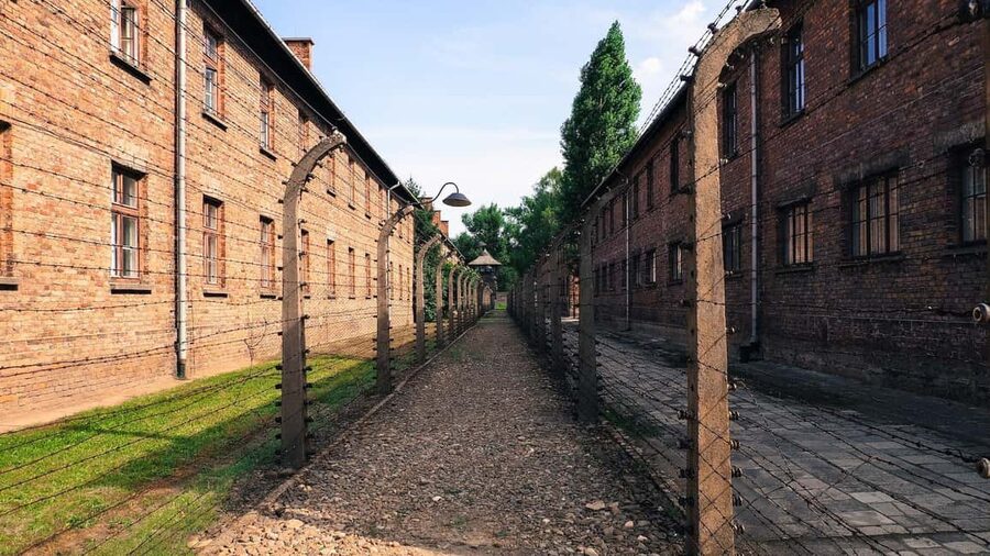 From Krakow: Auschwitz-Birkenau Memorial Private Tour - Price and value: why $295 can make sense here