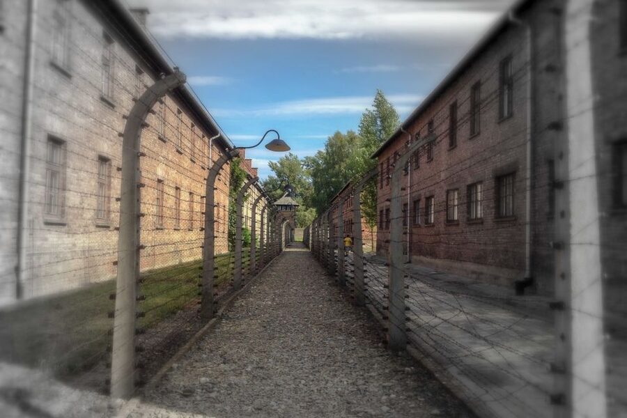From Krakow: Auschwitz-Birkenau Private or Shared Tour - What to bring, what to avoid, and how to make the day easier