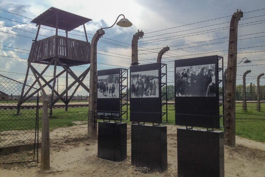 From Krakow: Auschwitz-Birkenau Private or Shared Tour - Getting in smoothly, express security and the name check
