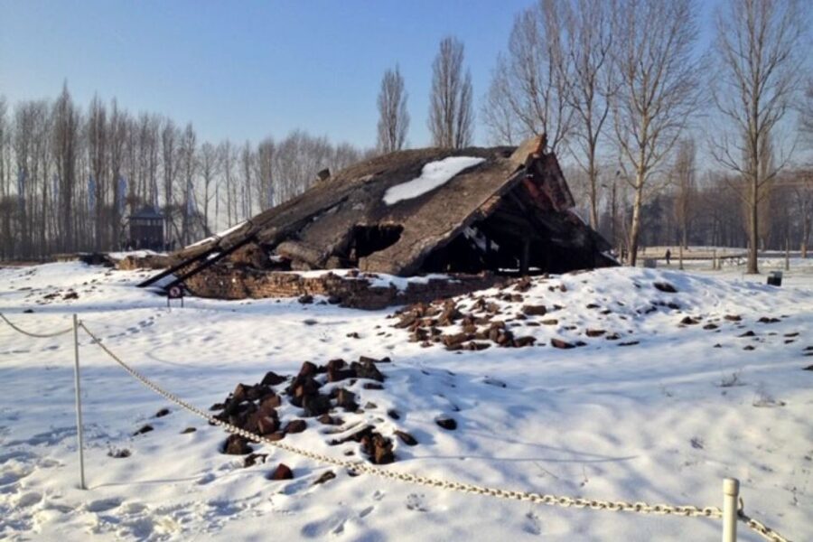 From Krakow: Auschwitz-Birkenau Private or Shared Tour - Price and value: what you get for $642